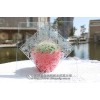 河南郑州 优质蒙砂膏