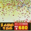 专业定做工艺玻璃|装饰玻璃|电视沙发背景墙|玄关隔断|屏风