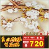 酒店装饰艺术玻璃精选之作背景墙屏风玄关隔断超低价定做