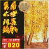 2012装饰新潮流 艺术玻璃背景墙屏风隔断定做立减100元