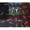 青岛专业钢化玻璃加工厂