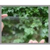 显示器专用AG高透减反玻璃