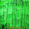 丝印玻璃