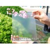 平板玻璃 屏风 移门 隔断专用深加工玻璃蒙砂粉