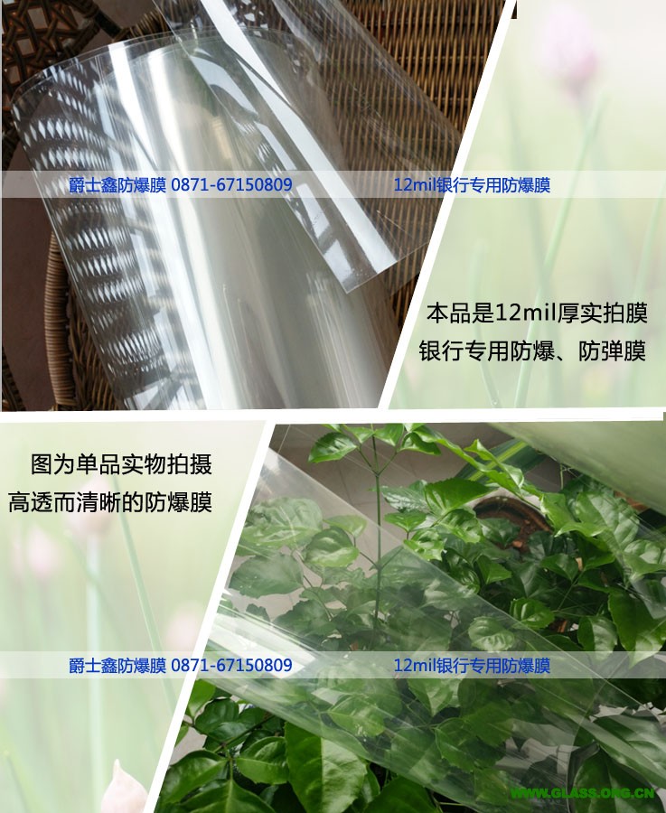 12mil防爆膜颜色1