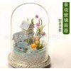 梦之雨 微景观玻璃生态瓶 玻璃器皿工艺品 厂家直销