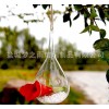 梦之雨 微景观生态瓶 多肉植物玻璃花瓶 可悬挂吊瓶 厂家批发