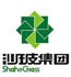 沙玻玻璃集团有限公司